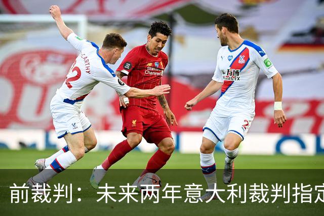 前裁判：未来两年意大利裁判指定人可能是奥尔萨托，不再一年一任